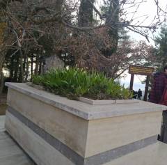 Evrensel Kolej